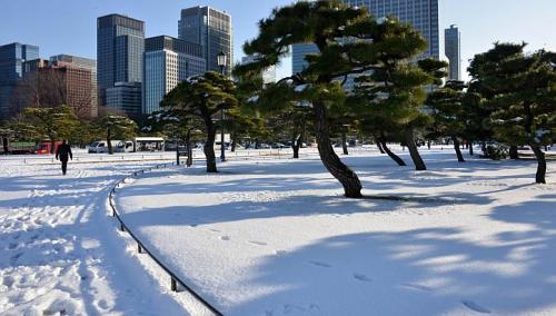 Le Japon paralysé par une tempête de neige